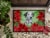 Carolines Treasures CK1356MAT Dalmatian Puppy Poinsettas Doormat 18x27 Perspective: top
