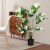 4FT Artificial Monstera Deliciosa Tree 2-Pack Fake Plant Faux Tree for Decor Perspective: top