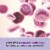 Garden of Life Vitamin Code Raw Prenatal Multivitamin, Nutritional Support for Mom & Baby, Capsules Perspective: top