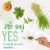 Garden of Life® Perfect Food® Raw Organic Energizer Juiced Green Superfood Powder Perspective: top