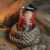 No-Li Squatch Pirate Juicy Haze IPA Perspective: top