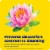 Enzymedica® Candidase™ Dietary Supplement Capsules Perspective: top