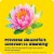 Enzymedica® Candidase™ Dietary Supplement Capsules Perspective: top