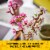 LEGO® Cherry Blossoms 40725 Building Set Perspective: top