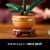 LEGO Botanicals Mini Orchid Building Set for Adults 10343 Perspective: top
