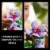 LEGO Botanicals Hibiscus Flower Building Set 10372 Perspective: top