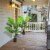 2 Pack Artificial Monstera Deliciosa Tree 4ft Faux Plant w/ Cement-Filled Pot Perspective: top