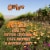 Odd Lot Petite Sirah-Petit Verdot Red Blend Perspective: top