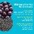 Hempz Ultra-Moisturizing Herbal Lip Balm Perspective: top