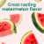 Dulcolax Kids Soft Chews Saline Laxative Constipation Relief Watermelon Magnesium Hydroxide Perspective: top