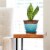 Southern Patio Cadiz 8 Diameter Crackled Ceramic Planter Pot with Saucer, Teal Perspective: top