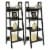 Bowery Hill 4 Shelf Ladder Bookcase in Black (Set of 2) Perspective: top