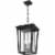 Z-Lite Seoul 2 Light Clear Glass Aluminum Outdoor Chain Mounted Pendant in Black Perspective: top