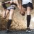 Copper Joe Calf Compression Sleeves - 1 Pair Perspective: top