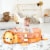 Costway 3 in 1 Cartoon Lion Baby Infant Activity Gym Play Mat w Hanging Toys Ocean Ball Perspective: top