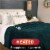 Sunbeam Heated Blanket - Green Perspective: top