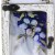 Holiday Ornament Window Message Ornament Mini Family Friend Professional Er75690 Grandma Perspective: top