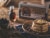 Kodiak® Protein-Packed Gluten-Free Frontier Oat Frozen Power Waffles® Perspective: top