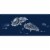 Denver Broncos Ice Trays 2pk Perspective: top
