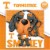 MasterPieces Tennessee Volunteers Smokey Mascot Square Puzzle Perspective: top
