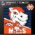 DEN NFL 100 PC Mascot Puzzle Perspective: top
