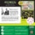 MasterPieces® Glow in the Dark Hidden Images™ Garden of Song Puzzle Perspective: top