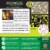MasterPieces® Glow in the Dark Hidden Images™ Mystery of the Jungle Jigsaw Puzzle Perspective: top