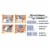 MasterPieces Jigsaw Puzzle Glue Sheets | Set of 12 Perspective: top