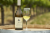 Talbott Logan Chardonnay Perspective: top