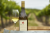 Talbott Chardonnay White Wine Perspective: top
