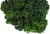 Mann's Broccolini Perspective: top