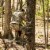 Summit SU81577 Viper SD EDGE Adjustable Portable Climbing Treestand Perspective: top