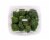 Broccoli Florets Perspective: top