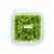 Diced Green Onions Perspective: top