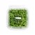 Chopped Cilantro Perspective: top