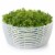 OXO Good Grips Mini Salad and Herb Spinner Perspective: top