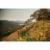 Kuleto Estate India Ink Blend California Red Wine Perspective: top
