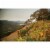 Kuleto Estate India Ink Blend California Red Wine Perspective: top