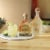 Patron Citronge Extra Fine Orange Liqueur Perspective: top