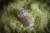 Odell Brewing Rupture IPA Perspective: top