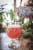 Odell Brewing Sippin Pretty Fruited Sour Ale Perspective: top