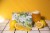 Odell Brewing Seasonal Sippin' Lemonade Craft Beer Perspective: top