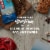 CLIF BAR® Chocolate Chip Energy Bars Perspective: top