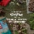 CLIF BAR® Cool Mint Chocolate Energy Bars Perspective: top