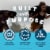 Clif Builders Cookies 'N Cream Flavor Protein Bars Perspective: top