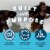 Clif Builders Cookies 'N Cream Flavor Protein Bars Perspective: top