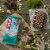 CLIF BAR® Cool Mint Chocolate Energy Bars Perspective: top