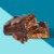 Fiber One Weight Watchers Chewy Protein Bars, Fudge Chocolate Cookie, 5 ct (Pack of 14) Perspective: top