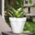 Krylon® ColorMaxx Satin White Indoor/Outdoor Spray Paint and Primer Perspective: top