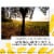 J Vineyards Pinot Noir California Red Wine Perspective: top